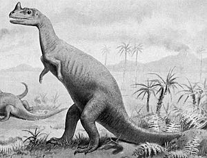 Archivo:Ceratosaurus
