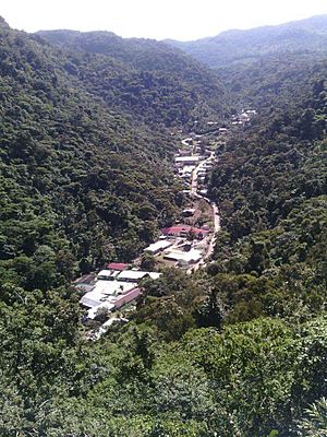 Archivo:Cerro central