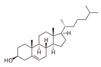 Archivo:Cholesterol