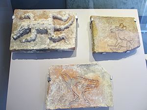 Archivo:Comalcalco Museo de Sitio 5
