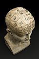 Earthenware phrenological bust, areas are marked off with an Wellcome L0057601