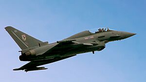 Archivo:Eurofighter Typhoon 2