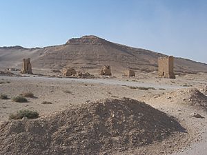 Archivo:Five Tower Tombs at Palmyra, Syria.