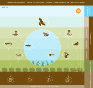 Archivo:Food Web-ES