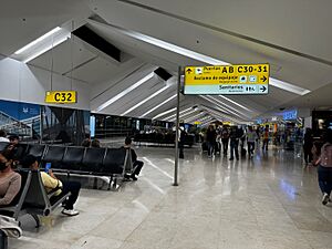 Archivo:GDL (9)