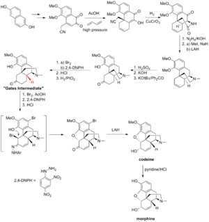 Archivo:Gates synthesis