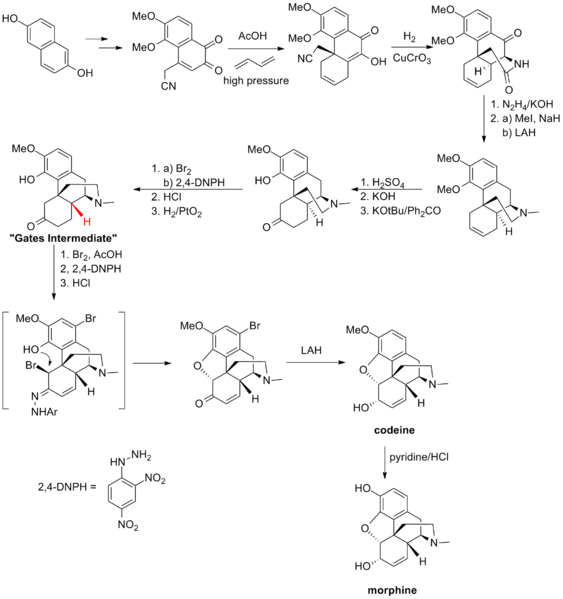 Gates synthesis
