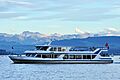 Glarner Alpen - Zürichsee - ZSG Albis - Saffa-Insel (Theaterspektakel) 2010-08-26 19-45-14