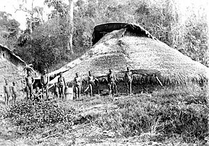 Archivo:Great Andamanese - group of large communal huts 1886