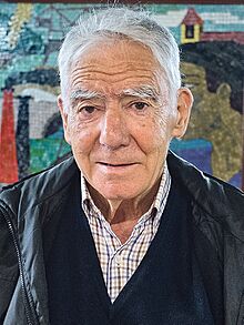 José Luis Artetxe - 2015 (cropped).jpg