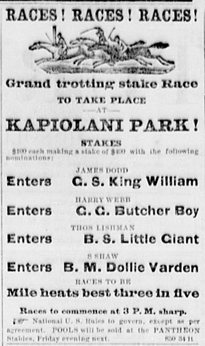 Archivo:Kapiolani Park Horse Race Ad