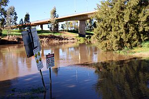 Archivo:Macquarie River in flood at Dubbo in August 2010