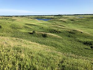 Archivo:MinnesotaPrairie