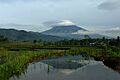 Mount sumbing