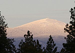 Archivo:Mt Spokane peak closeup 20070106