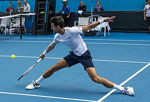 Archivo:Novak Djokovic (Ser) (39690813512) (cropped)