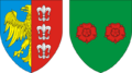 POL Bielsko-Biała COA