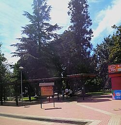 Plaza de Armas de Pinto (Chile).jpg