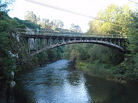 Puente sobrel el Rio Saja, Golbardo 3.JPG