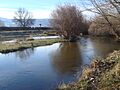 Río Adaja 1