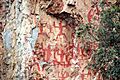 Rock painting hua mountain 2