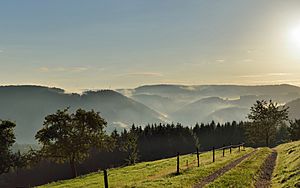 Archivo:Schonach - Paradies - Sonnenaufgang