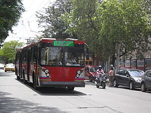 Archivo:Trole b