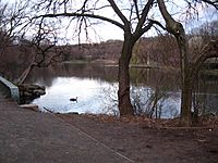 Archivo:Van Cortlandt Park lake east jeh