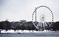 Winter Wonderland 5276970971