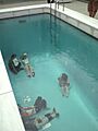 060726 Swimming pool スイミングプール上から - Flickr - yurayura naoko
