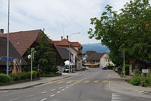 Archivo:2012-05-26-Seeland (Foto Dietrich Michael Weidmann) 245