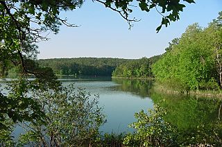 AR Ouachita National Forest.jpg
