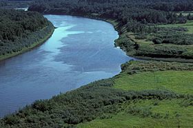 Aerial view of the Innoko river in summer.jpg