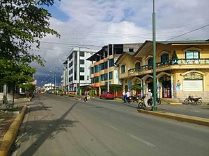 Avenida de Quinsaloma.