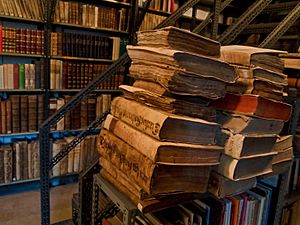 Archivo:Biblioteca do Mosteiro de Samos, "historia mollada"