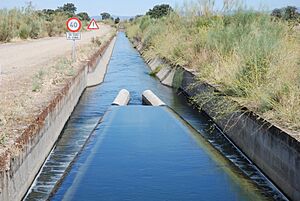 Archivo:Canal de riego (Las Judías, Saucedilla)