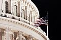 Capitol flag