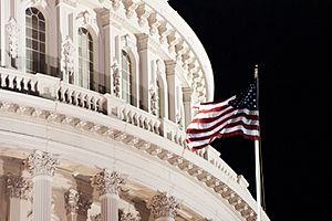 Archivo:Capitol flag