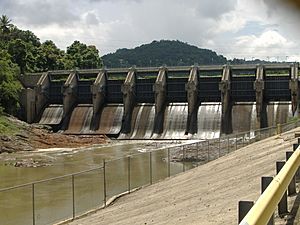 Archivo:Carraizo Lake Dam, Puerto Rico