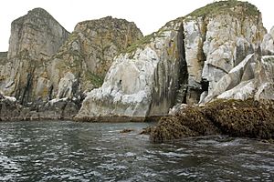 Archivo:Castle Rock at Shumagin Islands