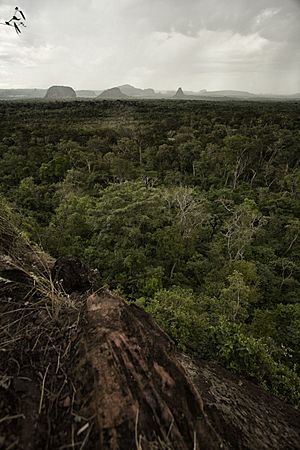 Archivo:Cerro cora