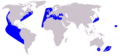 Cetacea range map Short-beaked Common Dolphin