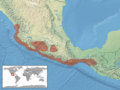 Conophis vittatus distribution
