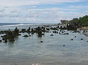 Archivo:Coral reef on Nauru
