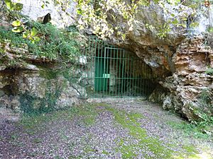 Archivo:Cueva de Las Chimeneas,Puente Viesgo (Cantabria)