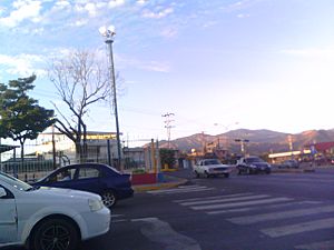 Archivo:EL PICO TAPO CATAURITO DESDE LA AVENIDA MIRANDA