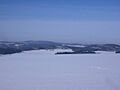 Eichenstein-Winter