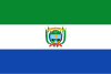 Flag of Guaviare.svg