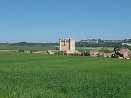 Vista de la localidad y el castillo de Fuensaldaña