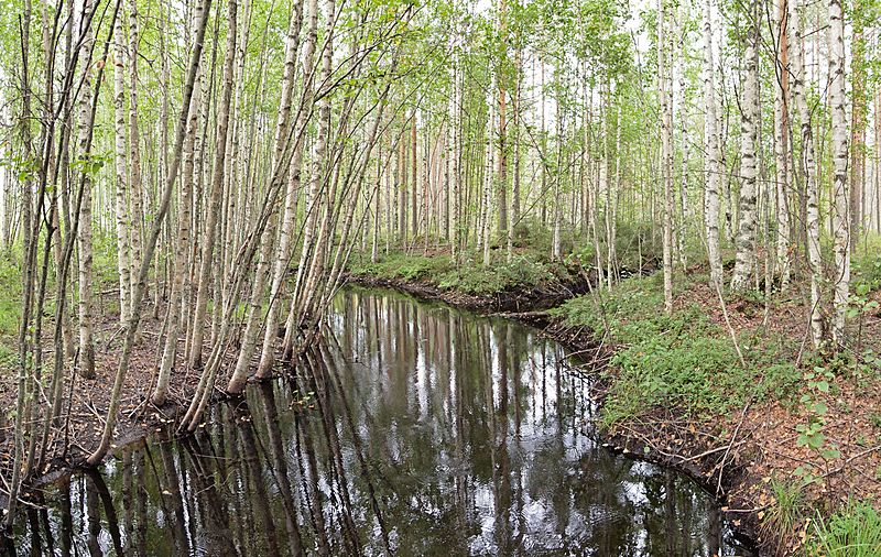 Hankasalmi stream